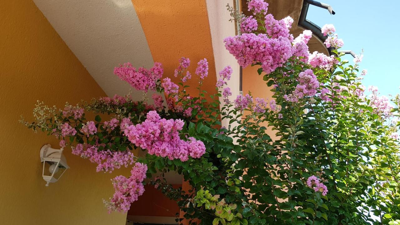 B&B Villa Giulia Desenzano del Garda Dış mekan fotoğraf
