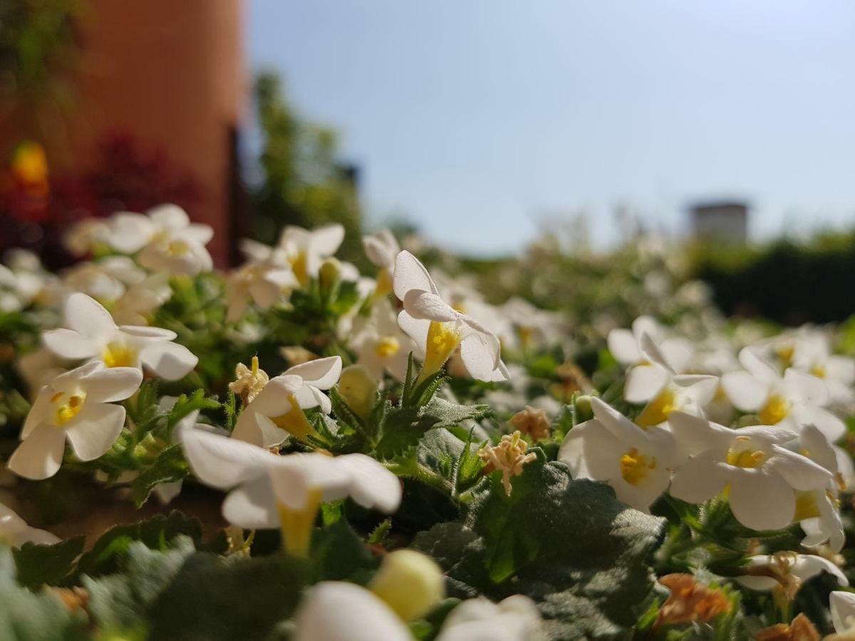 B&B Villa Giulia Desenzano del Garda Dış mekan fotoğraf